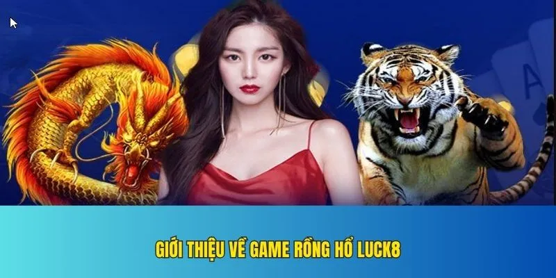 Một số thông tin giới thiệu về rồng hổ Luck8