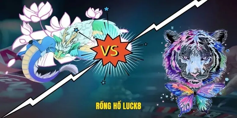 Rồng hổ Luck8